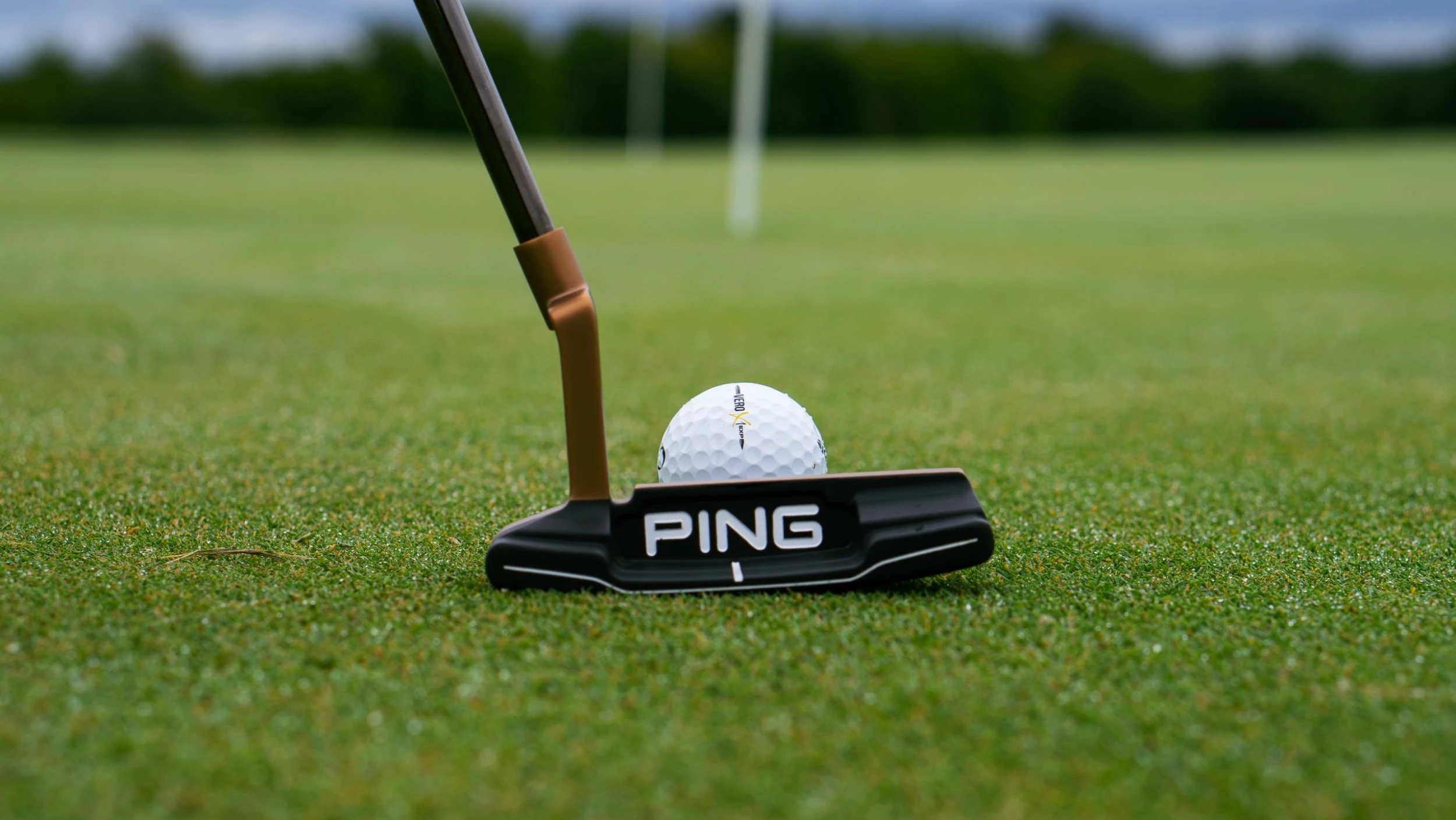 Golf Clubs Shop 11 Golf Clubs Shop -Golf Clubs Shop peter drew 9afczTn6bc unsplash scaled